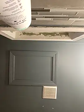 chocolate bella online show from January 12, 2026, 12:34 pm