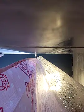 chocolate bella online show from February 12, 2026, 3:23 pm