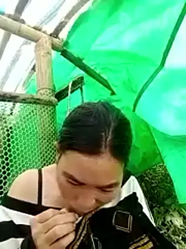 cicnci online show from November 12, 2025, 3:10 am