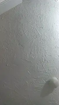 Bulbasaurisme online show from September 26, 2025, 1:23 am