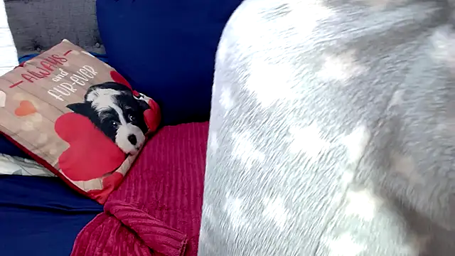 chockclitx5 online show from April 16, 2026, 10:34 pm