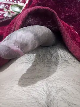 Abodi12aa77 online show from October 5, 2025, 11:50 pm