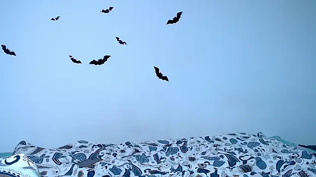 Snapshot of litle_owl chatting on November 9, 2025, 6:23 pm litle owl online show from November 9, 2025, 6:23 pm