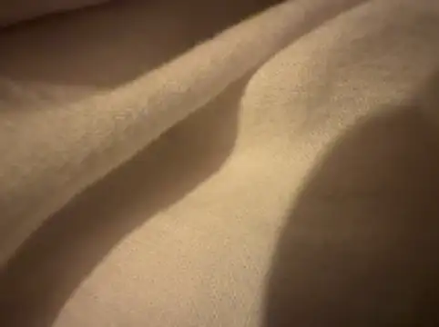 fcach2244 online show from October 23, 2025, 8:29 pm