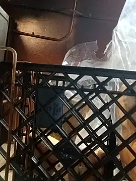 sarahkat86 online show from November 6, 2025, 12:25 am