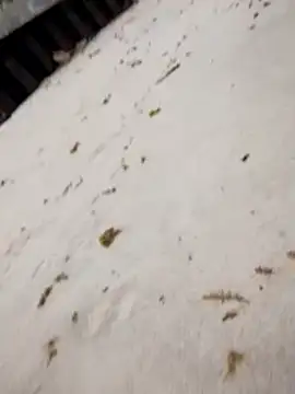 sarahkat86 online show from October 25, 2025, 7:14 pm