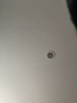 Gipsyboysteve online show from February 5, 2026, 2:57 pm