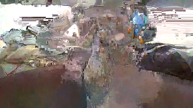 Ziphoo2 online show from October 29, 2025, 1:10 pm