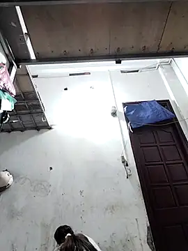 naop04 online show from November 27, 2025, 10:37 am