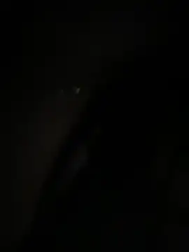 anna yngs online show from November 2, 2025, 11:15 am