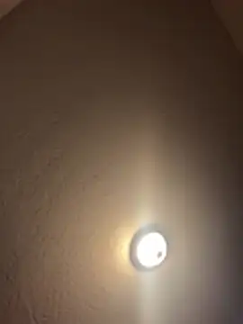 1n0nlythroat online show from January 9, 2026, 6:15 pm