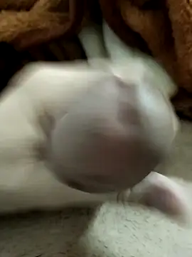 Zepe 12 online show from March 23, 2026, 10:20 pm