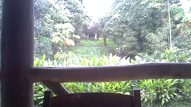 Blue Liz online show from November 10, 2025, 2:44 pm