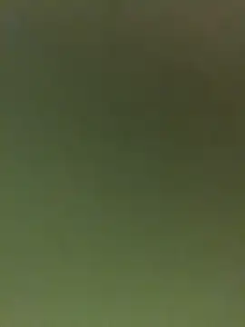 Snapshot of JuanitaMore01 chatting on February 16, 2026, 9:56 pm JuanitaMore01 online show from February 16, 2026, 9:56 pm