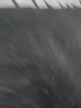 Snapshot of JuanitaMore01 chatting on February 21, 2026, 10:23 pm JuanitaMore01 online show from February 21, 2026, 10:23 pm