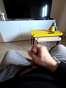 sonic197501 online show from February 20, 2026, 8:16 am