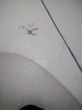 Snapshot of Celestial_Field chatting on April 9, 2026, 4:46 pm Celestial Field online show from April 9, 2026, 4:46 pm