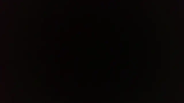 Terraelowen online show from April 9, 2026, 1:17 pm