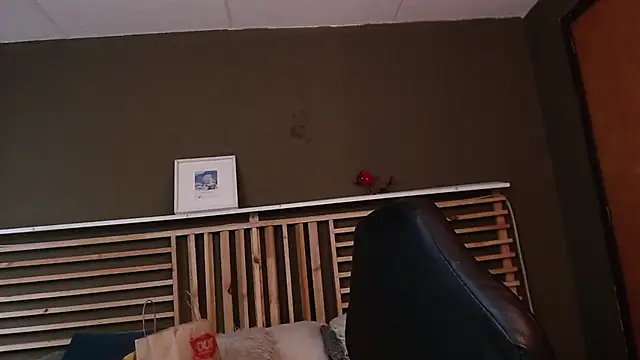 PaulEvens online show from November 15, 2025, 1:15 pm