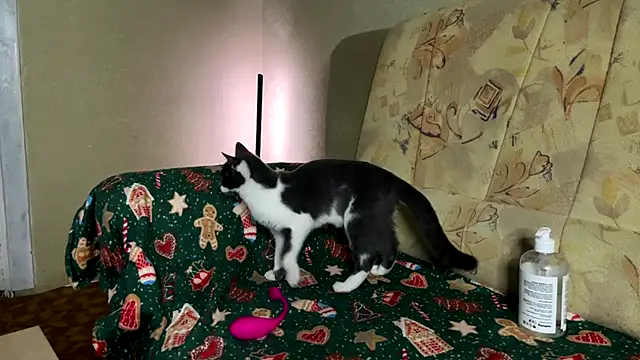 Snapshot of Marinpeach chatting on February 23, 2026, 3:12 pm Marinpeach online show from February 23, 2026, 3:12 pm