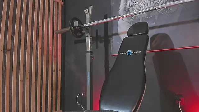 DimitriDeluxe online show from December 16, 2025, 8:13 pm