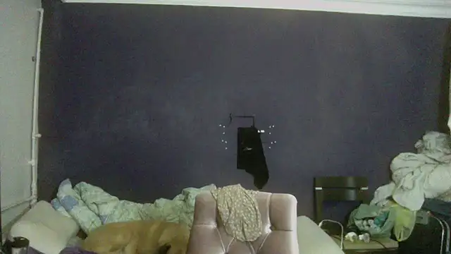 Snapshot of turkishTransEfsun chatting on November 26, 2025, 5:57 pm turkishTransEfsun online show from November 26, 2025, 5:57 pm