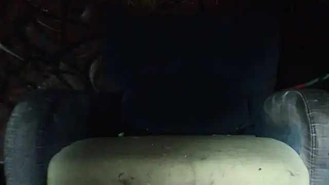 lovehairymature90 online show from October 15, 2025, 4:00 am