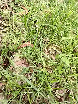 hotboy43339 online show from March 31, 2026, 11:45 am