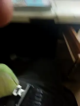 Snapshot of hotboy43339 chatting on February 8, 2026, 5:05 am hotboy43339 online show from February 8, 2026, 5:05 am