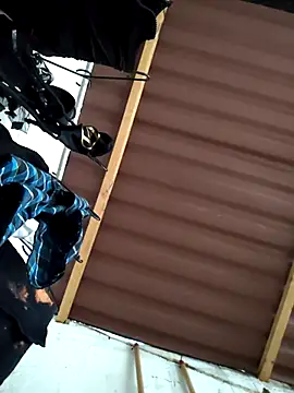 Snapshot of damian_bull chatting on November 24, 2025, 9:15 pm damian bull online show from November 24, 2025, 9:15 pm