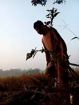 Johlrd online show from November 23, 2025, 12:53 am