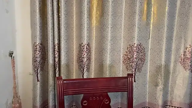 w5206t online show from November 13, 2025, 12:42 pm