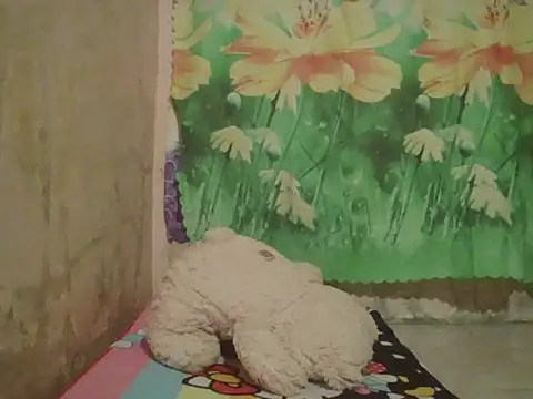 sexymorenal18 online show from September 27, 2025, 1:39 pm