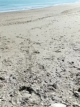 pegaso369 online show from October 7, 2025, 11:33 am