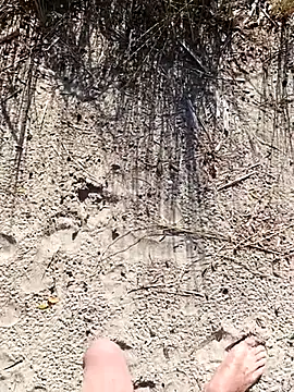 pegaso369 online show from October 1, 2025, 1:26 pm