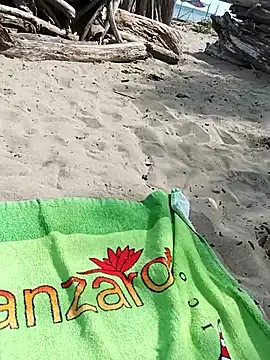 pegaso369 online show from September 16, 2025, 11:33 am