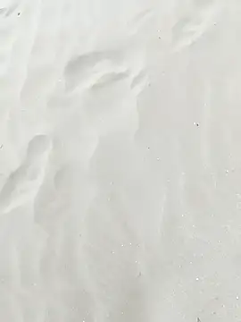 pegaso369 online show from September 22, 2025, 1:17 pm