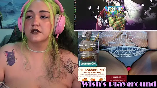 nevermakeawish online show from November 27, 2025, 2:17 pm