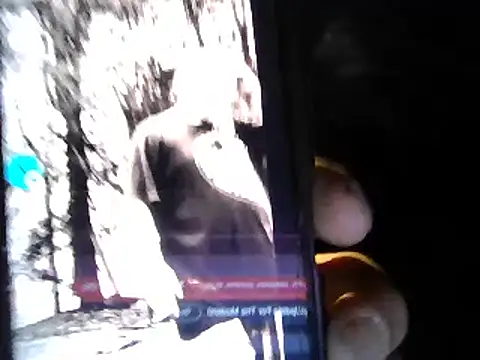 Eat it from the back online show from November 8, 2025, 3:54 am