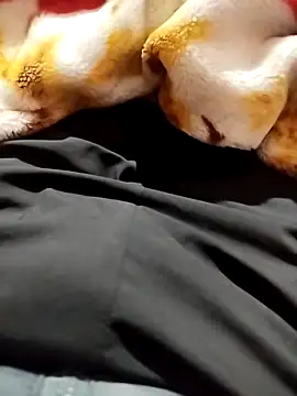 nikek13467ghj online show from November 9, 2025, 9:08 pm