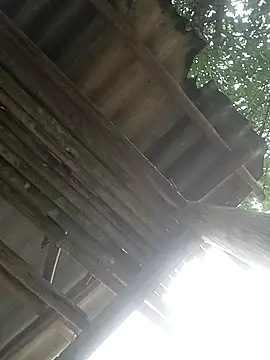 CoMay003 online show from April 2, 2026, 5:25 am