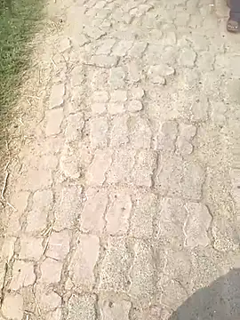 Snapshot of Bio-teacher chatting on October 12, 2025, 8:05 am Bio-teacher online show from October 12, 2025, 8:05 am