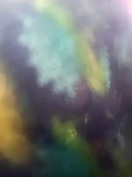 Juhi chawla online show from November 18, 2025, 9:01 am