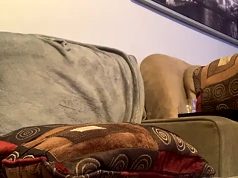 Insurance-03 online show from October 15, 2025, 6:33 am