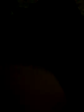 gaabpxn online show from December 2, 2025, 5:53 am