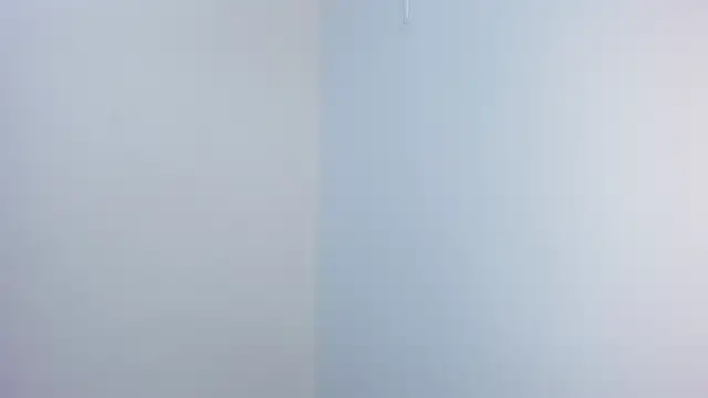 stephane rouss online show from November 18, 2025, 8:56 pm