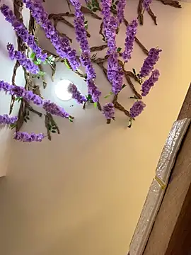 burbuja02 online show from April 4, 2026, 2:34 pm