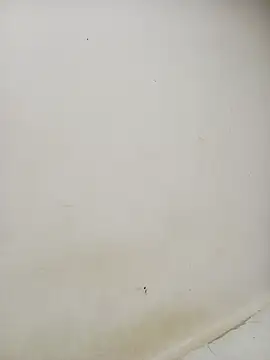 Dani 34velan online show from September 17, 2025, 4:58 am