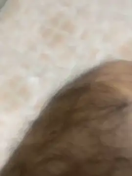 Binuthomas online show from November 25, 2025, 6:08 pm