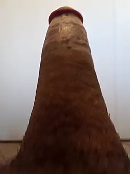 Snapshot of BooBooKittyFuhck chatting on November 12, 2025, 6:34 pm BooBooKittyFuhck online show from November 12, 2025, 6:34 pm